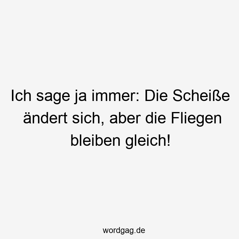 Ich sage ja immer: Die Scheiße ändert sich, aber die Fliegen bleiben gleich!