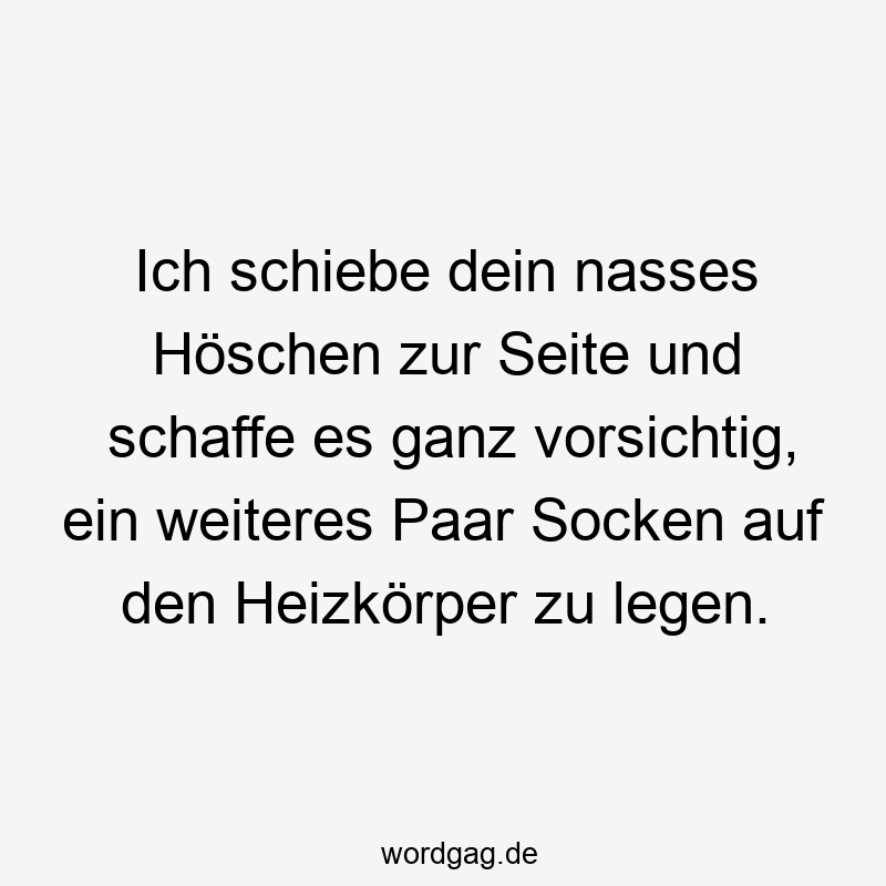 Lustige Sprüche: zu - Ich schiebe dein nasses Höschen zur Seite und schaffe es ganz vorsichtig, ein weiteres Paar Socken auf den Heizkörper zu legen.