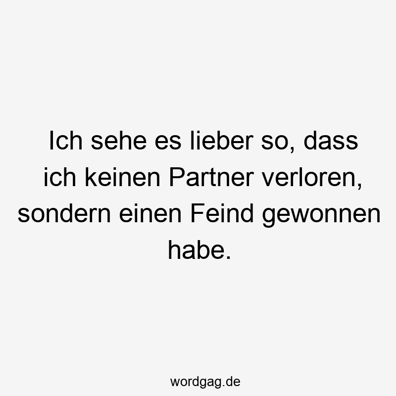 Ich sehe es lieber so, dass ich keinen Partner verloren, sondern einen Feind gewonnen habe.