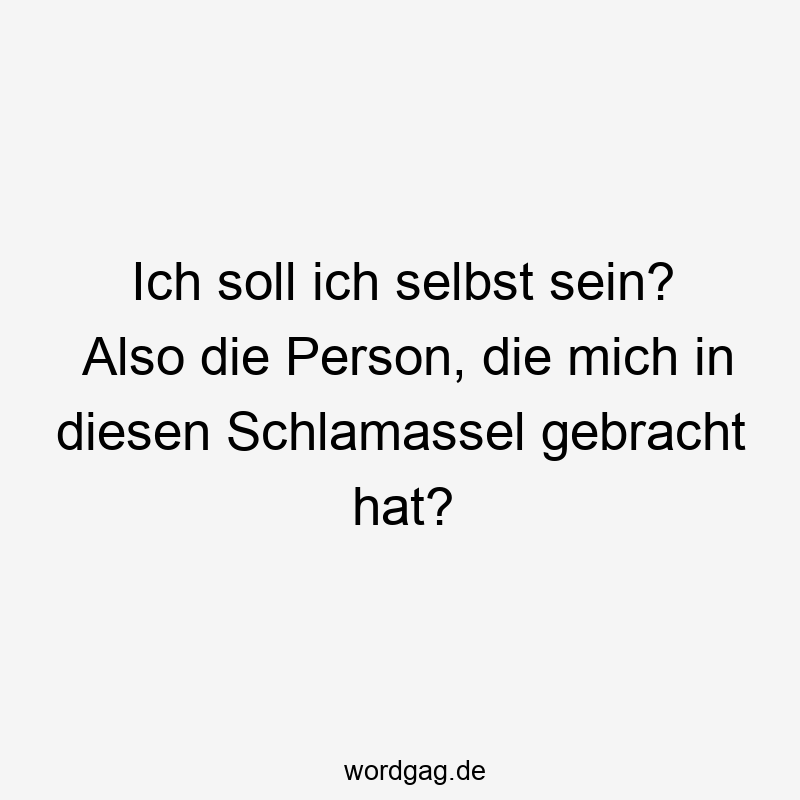 Ich soll ich selbst sein? Also die Person, die mich in diesen Schlamassel gebracht hat?