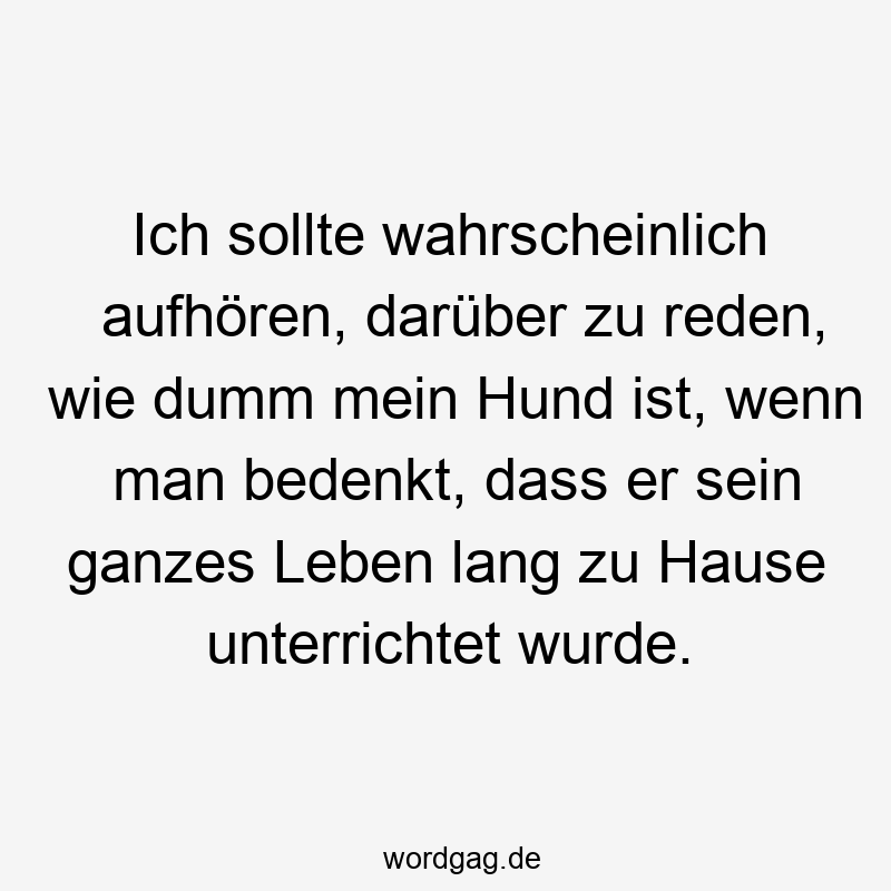 Ich sollte wahrscheinlich aufhören, darüber zu reden, wie dumm mein Hund ist, wenn man bedenkt, dass er sein ganzes Leben lang zu Hause unterrichtet wurde.