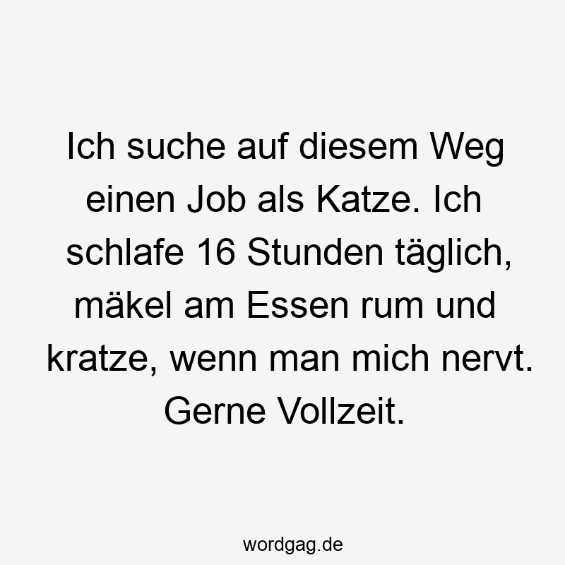 96 Lustige Faul Sprüche - Ich suche auf diesem Weg einen Job als Katze. Ich schlafe 16 Stunden täglich, mäkel am Essen rum und kratze, wenn man mich nervt. Gerne Vollzeit.