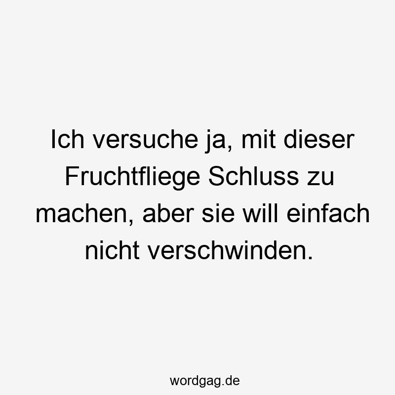 Ich versuche ja, mit dieser Fruchtfliege Schluss zu machen, aber sie will einfach nicht verschwinden.