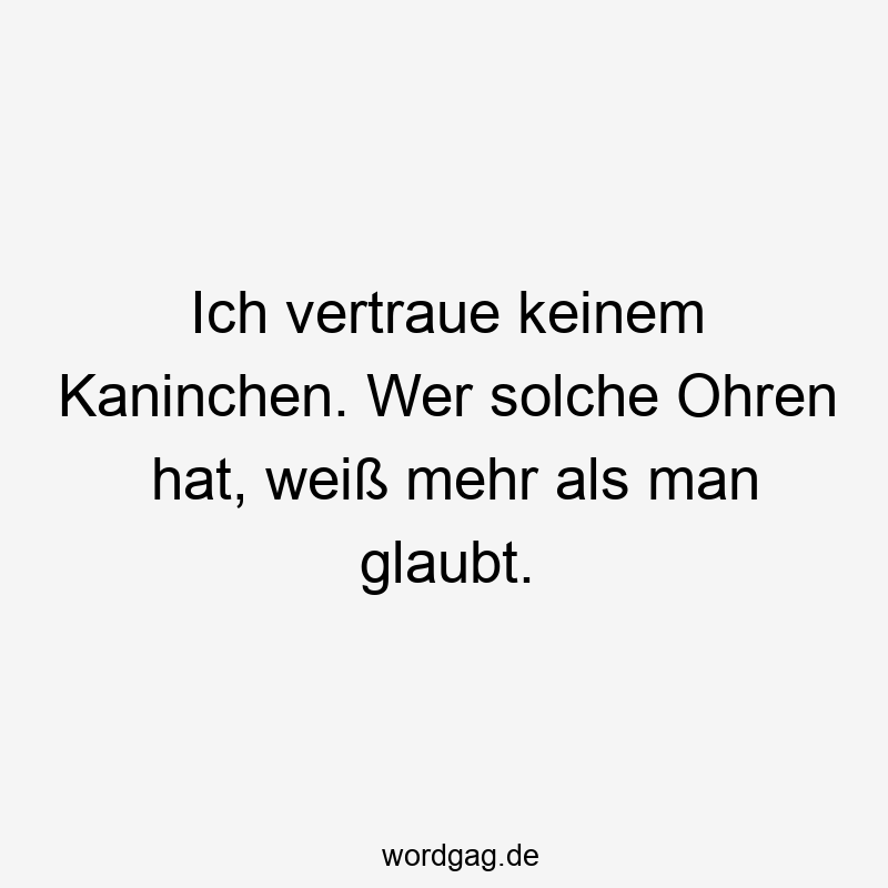 Ich vertraue keinem Kaninchen. Wer solche Ohren hat, weiß mehr als man glaubt.