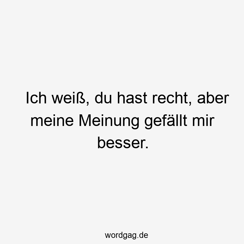 Humorvoller Spruch über Eigenwilligkeit und Meinungsverschiedenheiten, lustige und freche Stimmung.