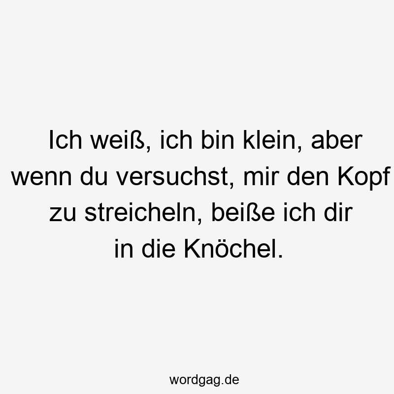 Ich weiß, ich bin klein, aber wenn du versuchst, mir den Kopf zu streicheln, beiße ich dir in die Knöchel.