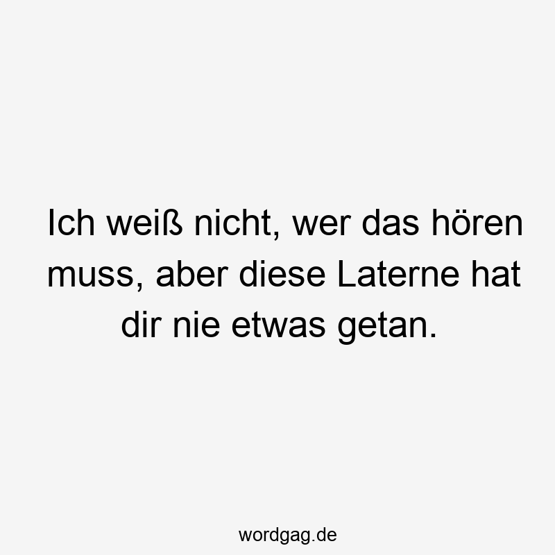 Lustige Sprüche: Laterne - Ich weiß nicht, wer das hören muss, aber diese Laterne hat dir nie etwas getan.