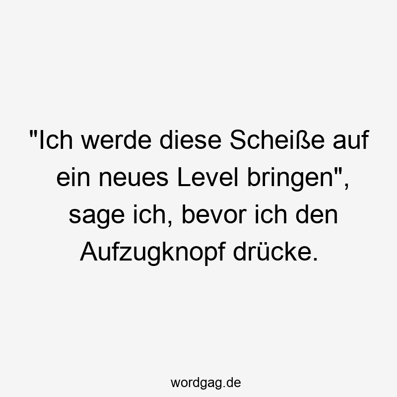 „Ich werde diese Scheiße auf ein neues Level bringen“, sage ich, bevor ich den Aufzugknopf drücke.