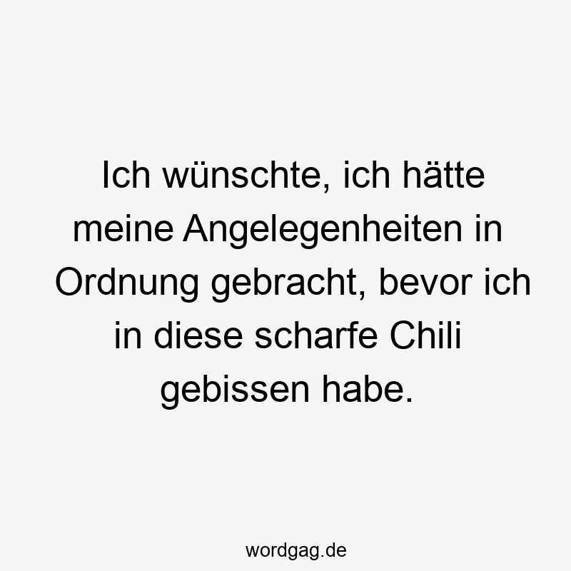 Ich wünschte, ich hätte meine Angelegenheiten in Ordnung gebracht, bevor ich in diese scharfe Chili gebissen habe.