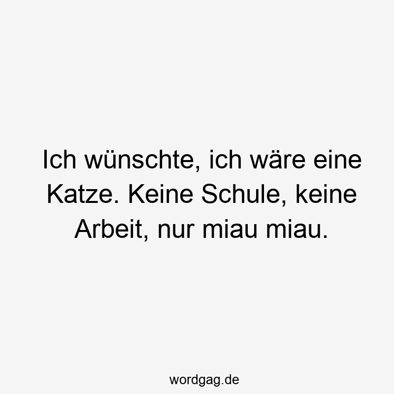 Ich wünschte, ich wäre eine Katze. Keine Schule, keine Arbeit, nur miau miau.