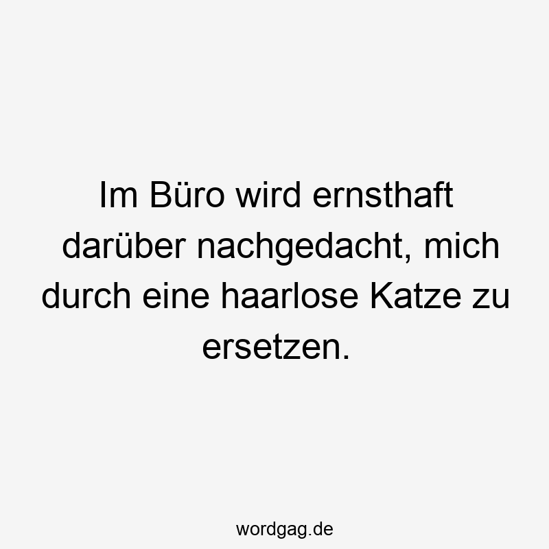 Im Büro wird ernsthaft darüber nachgedacht, mich durch eine haarlose Katze zu ersetzen.