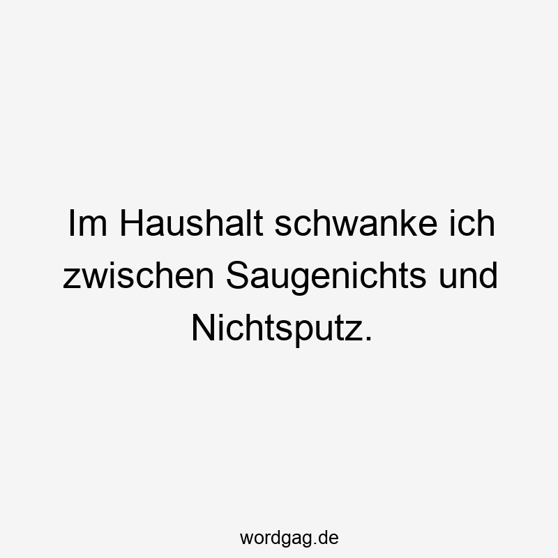 Im Haushalt schwanke ich zwischen Saugenichts und Nichtsputz.