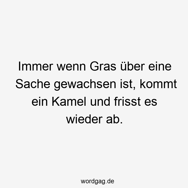 Immer wenn Gras über eine Sache gewachsen ist, kommt ein Kamel und frisst es wieder ab.