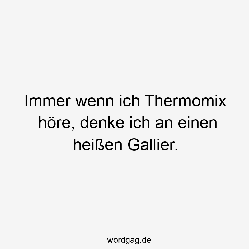 Immer wenn ich Thermomix höre, denke ich an einen heißen Gallier.