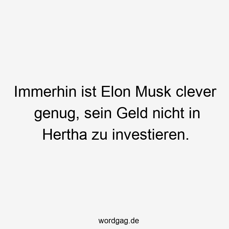 Immerhin ist Elon Musk clever genug, sein Geld nicht in Hertha zu investieren.