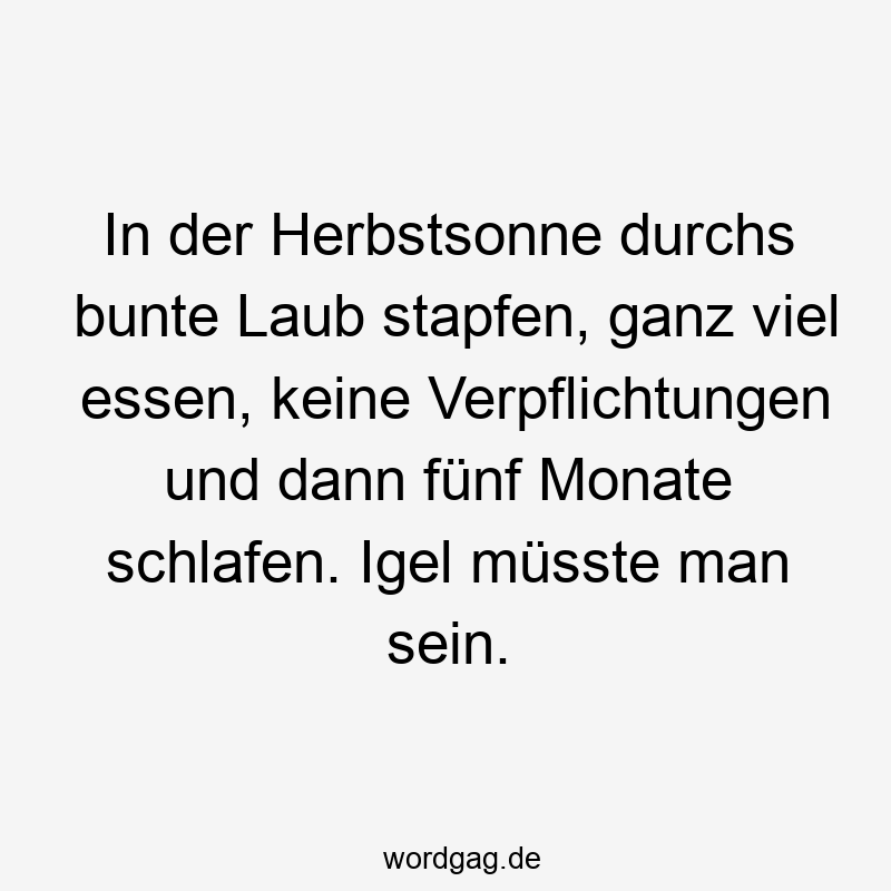 Lustige Sprüche: Verpflichtungen - In der Herbstsonne durchs bunte Laub stapfen, ganz viel essen, keine Verpflichtungen und dann fünf Monate schlafen. Igel müsste man sein.