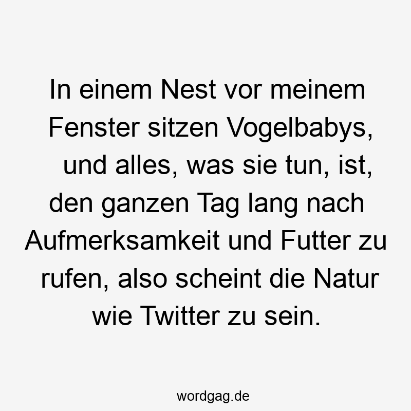 Lustige Sprüche: Natur - In einem Nest vor meinem Fenster sitzen Vogelbabys, und alles, was sie tun, ist, den ganzen Tag lang nach Aufmerksamkeit und Futter zu rufen, also scheint die Natur wie Twitter zu sein.
