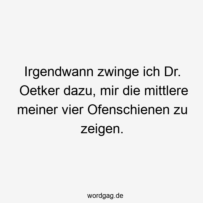 Irgendwann zwinge ich Dr. Oetker dazu, mir die mittlere meiner vier Ofenschienen zu zeigen.