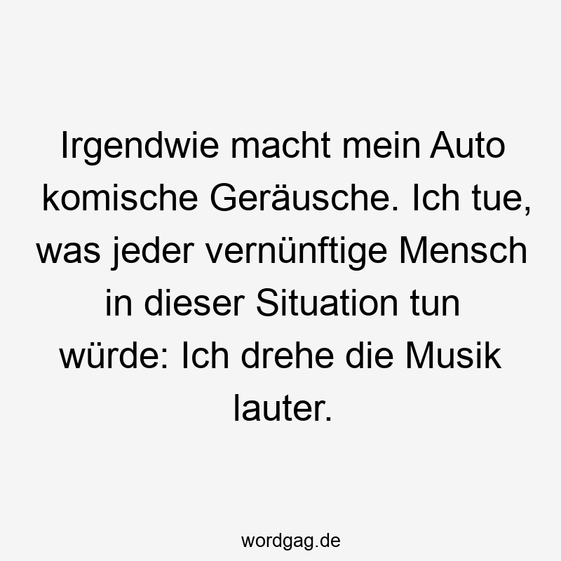 Irgendwie macht mein Auto komische Geräusche. Ich tue, was jeder vernünftige Mensch in dieser Situation tun würde: Ich drehe die Musik lauter.