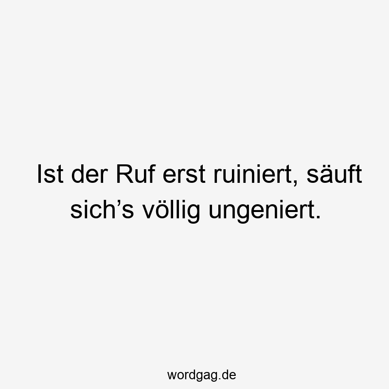 13 Lustige Ruf Sprüche - Ist der Ruf erst ruiniert, säuft sich’s völlig ungeniert.
