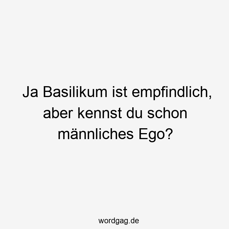 Ja Basilikum ist empfindlich, aber kennst du schon männliches Ego?