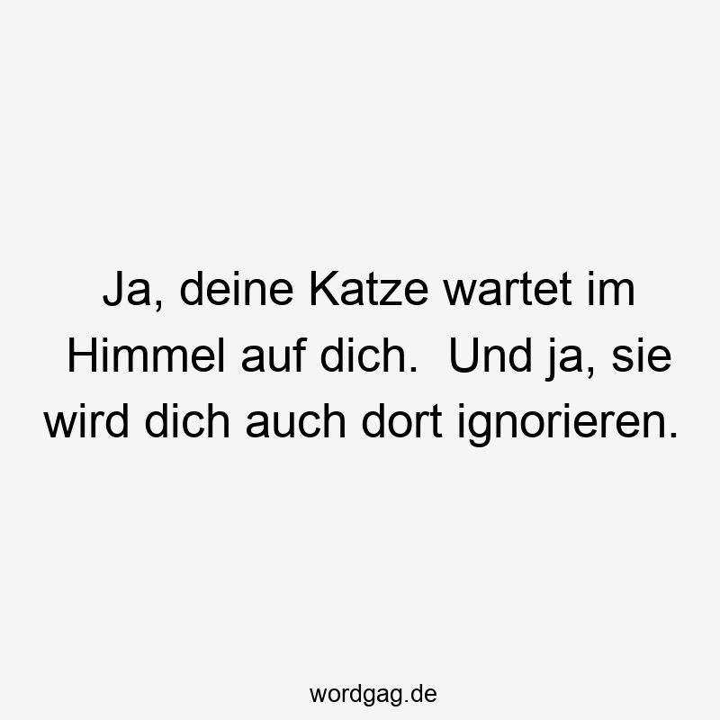 Lustige Sprüche: Himmel - Ja, deine Katze wartet im Himmel auf dich. Und ja, sie wird dich auch dort ignorieren.