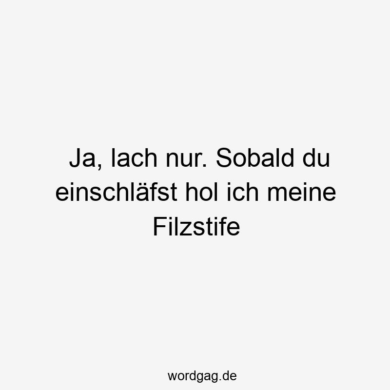 Ja, lach nur. Sobald du einschläfst hol ich meine Filzstife