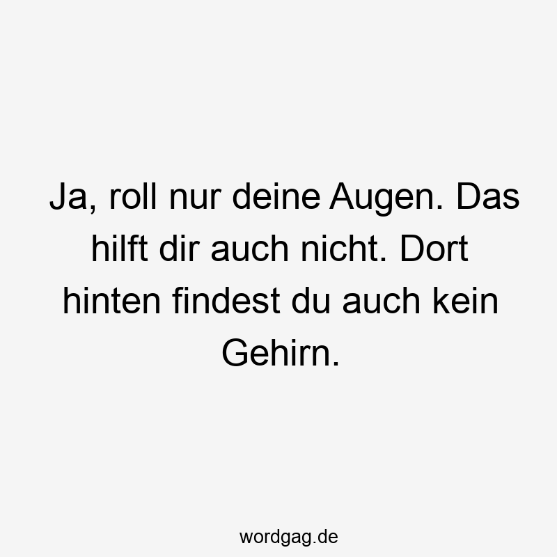 Lustige Augenrollen Sprüche - Ja, roll nur deine Augen. Das hilft dir auch nicht. Dort hinten findest du auch kein Gehirn.