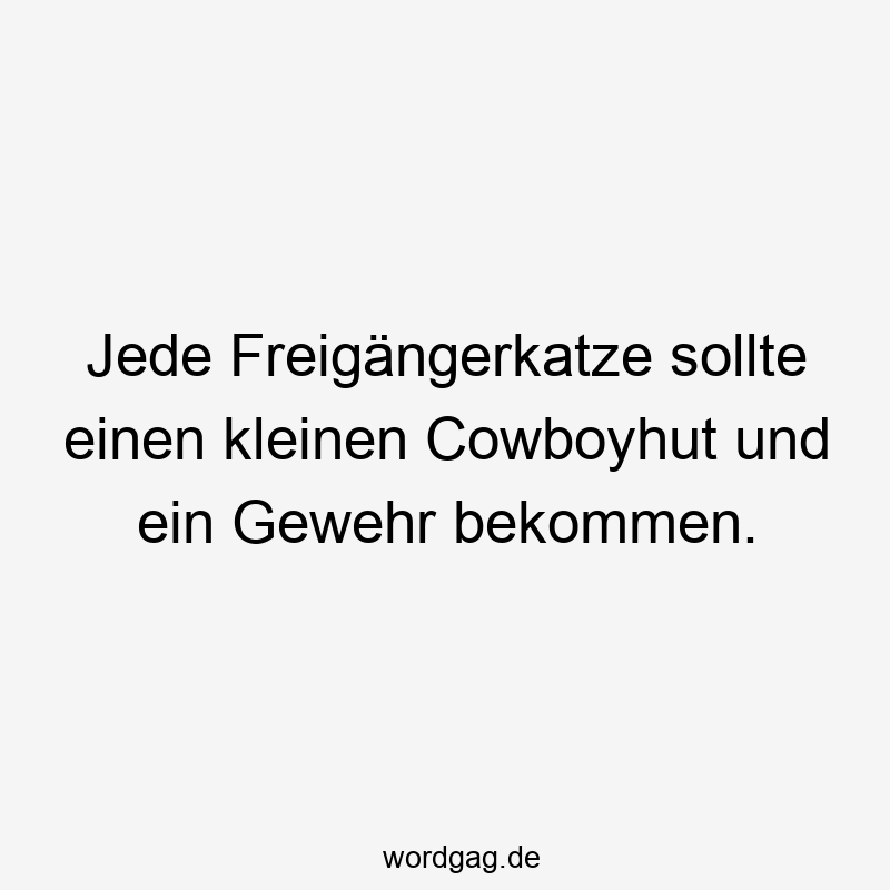 Jede Freigängerkatze sollte einen kleinen Cowboyhut und ein Gewehr bekommen.