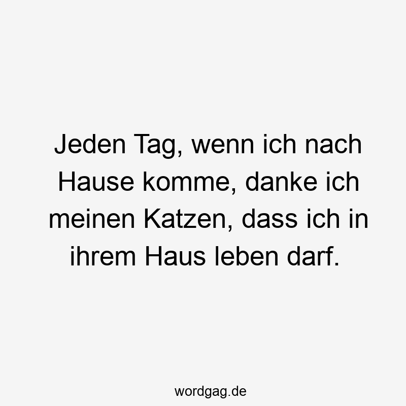 Jeden Tag, wenn ich nach Hause komme, danke ich meinen Katzen, dass ich in ihrem Haus leben darf.