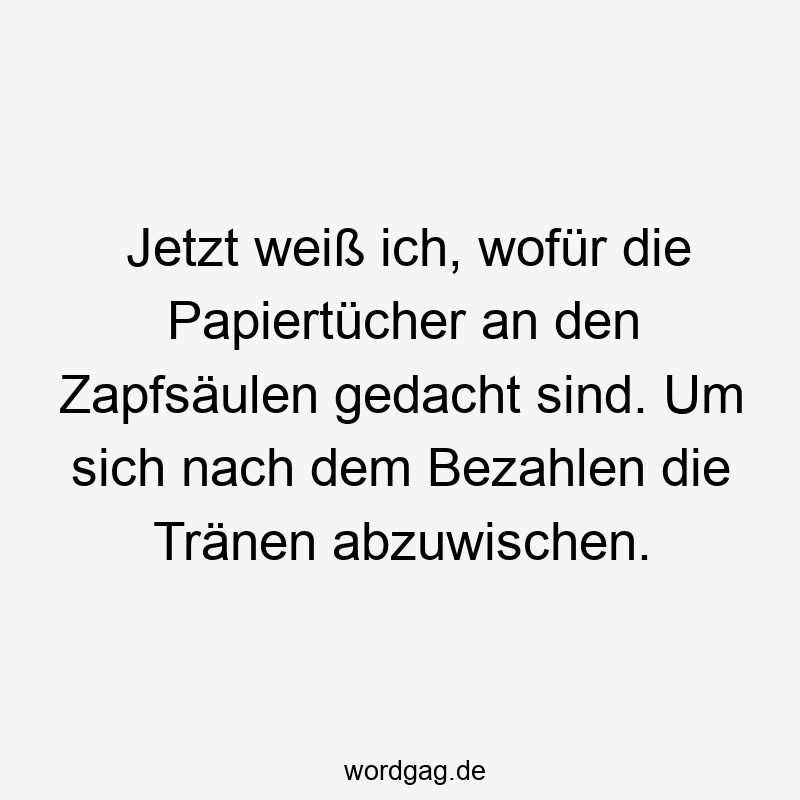 Jetzt weiß ich, wofür die Papiertücher an den Zapfsäulen gedacht sind. Um sich nach dem Bezahlen die Tränen abzuwischen.