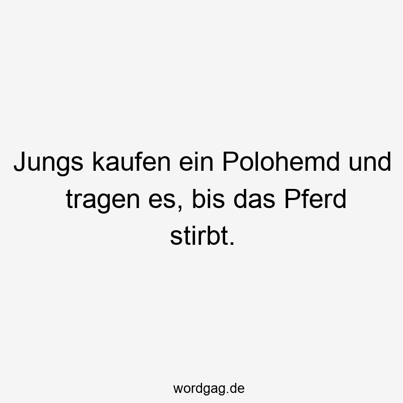 Jungs kaufen ein Polohemd und tragen es, bis das Pferd stirbt.
