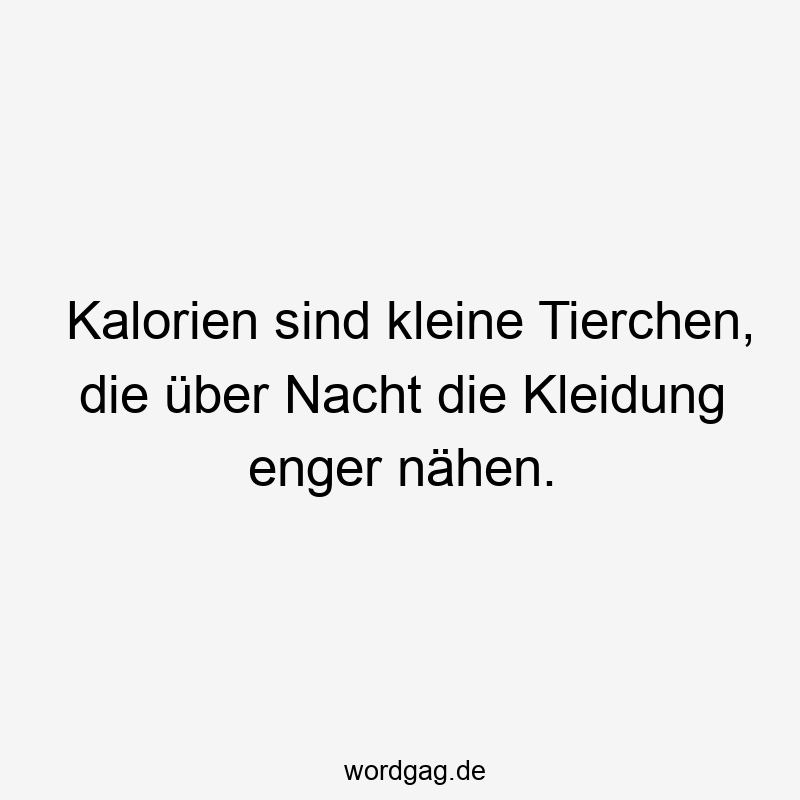 Kalorien sind kleine Tierchen, die über Nacht die Kleidung enger nähen.
