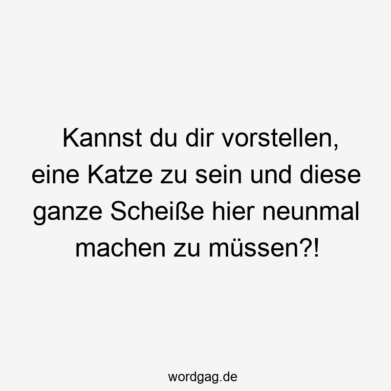 Kannst du dir vorstellen, eine Katze zu sein und diese ganze Scheiße hier neunmal machen zu müssen?!