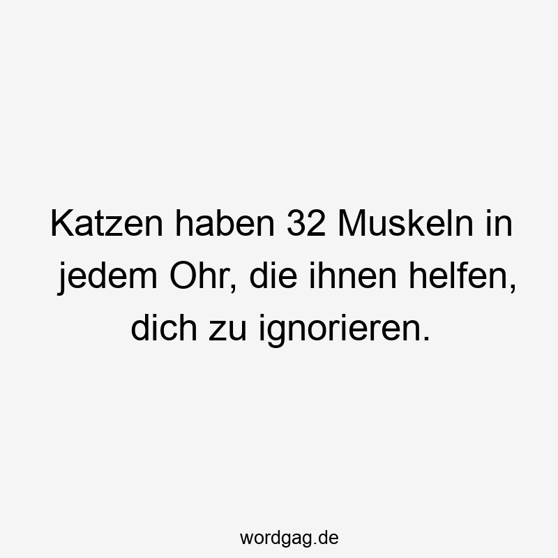 Katzen haben 32 Muskeln in jedem Ohr, die ihnen helfen, dich zu ignorieren.