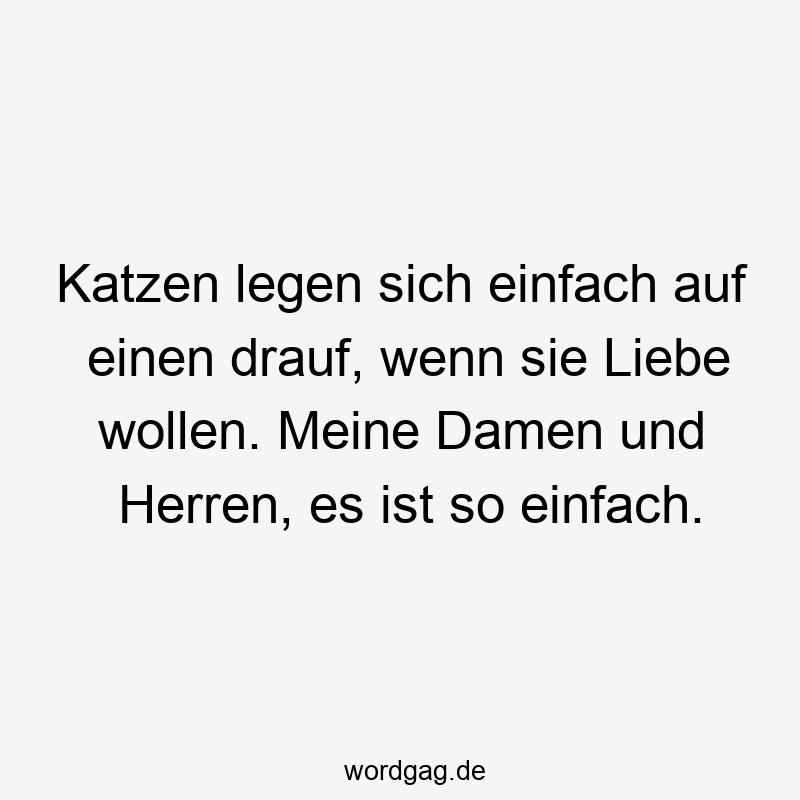 Katzen legen sich einfach auf einen drauf, wenn sie Liebe wollen. Meine Damen und Herren, es ist so einfach.
