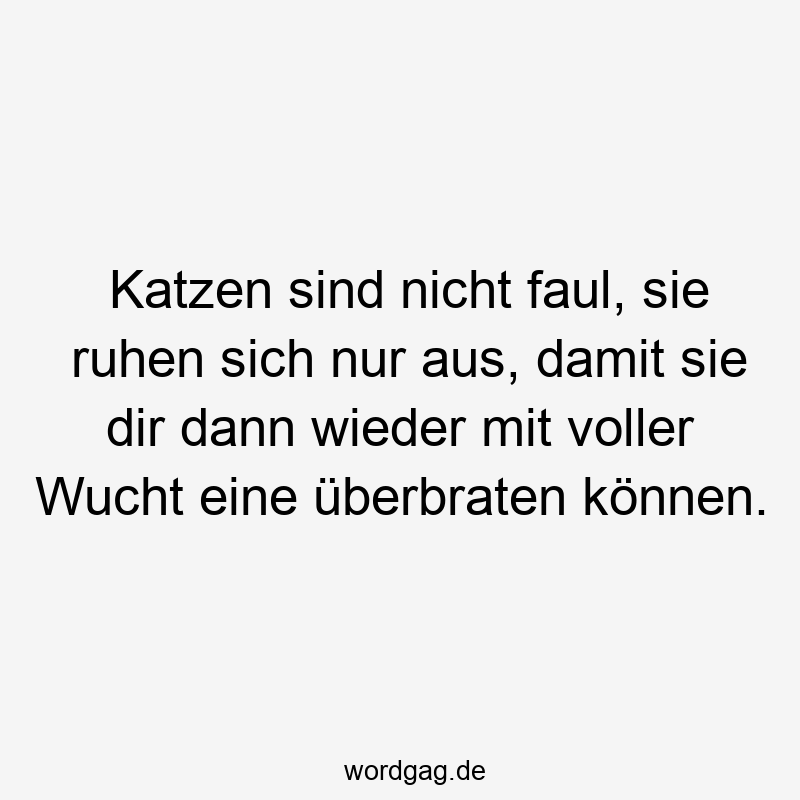 96 Lustige Faul Sprüche - Katzen sind nicht faul, sie ruhen sich nur aus, damit sie dir dann wieder mit voller Wucht eine überbraten können.
