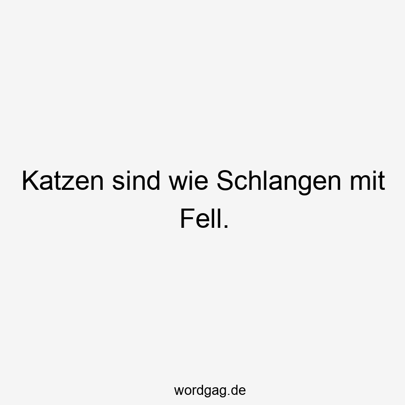 51 Lustige Haustiere Sprüche - Katzen sind wie Schlangen mit Fell.
