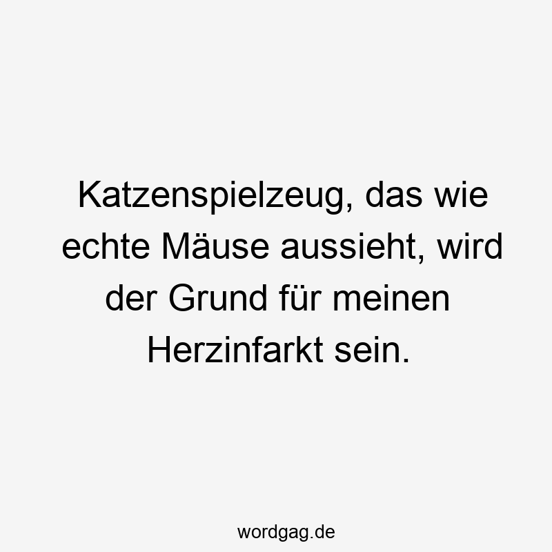 Katzenspielzeug, das wie echte Mäuse aussieht, wird der Grund für meinen Herzinfarkt sein.