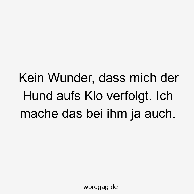 Kein Wunder, dass mich der Hund aufs Klo verfolgt. Ich mache das bei ihm ja auch.