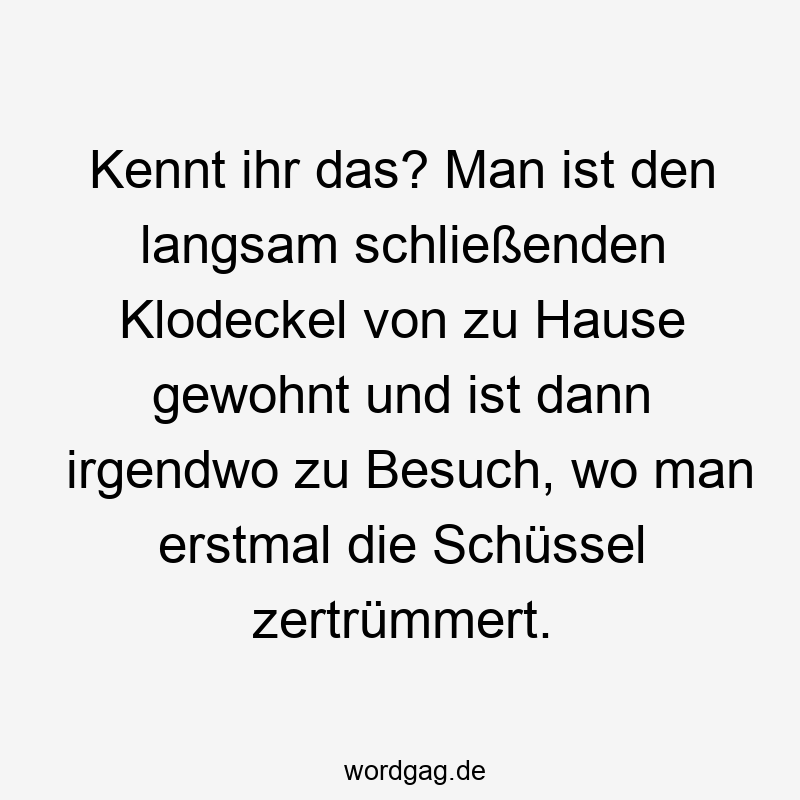 Kennt ihr das? Man ist den langsam schließenden Klodeckel von zu Hause gewohnt und ist dann irgendwo zu Besuch, wo man erstmal die Schüssel zertrümmert.