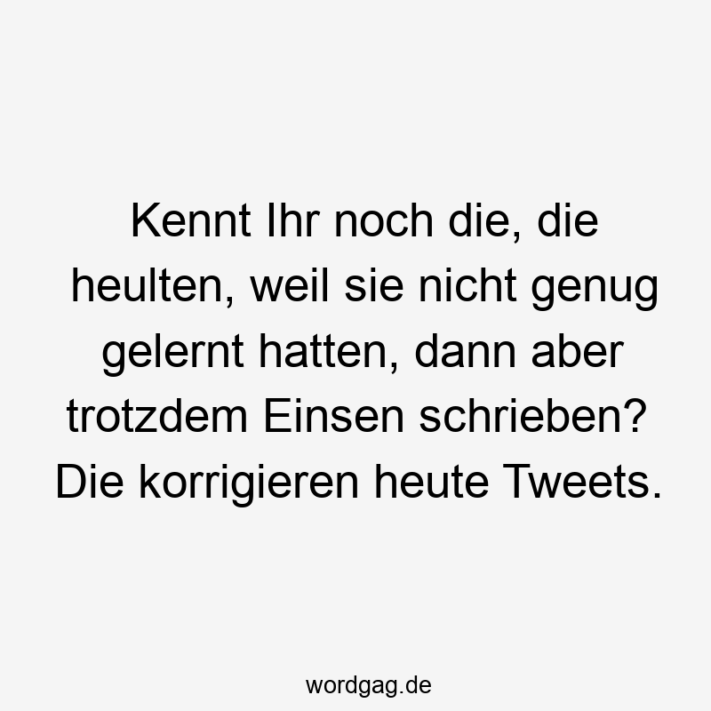 Kennt Ihr noch die, die heulten, weil sie nicht genug gelernt hatten, dann aber trotzdem Einsen schrieben? Die korrigieren heute Tweets.