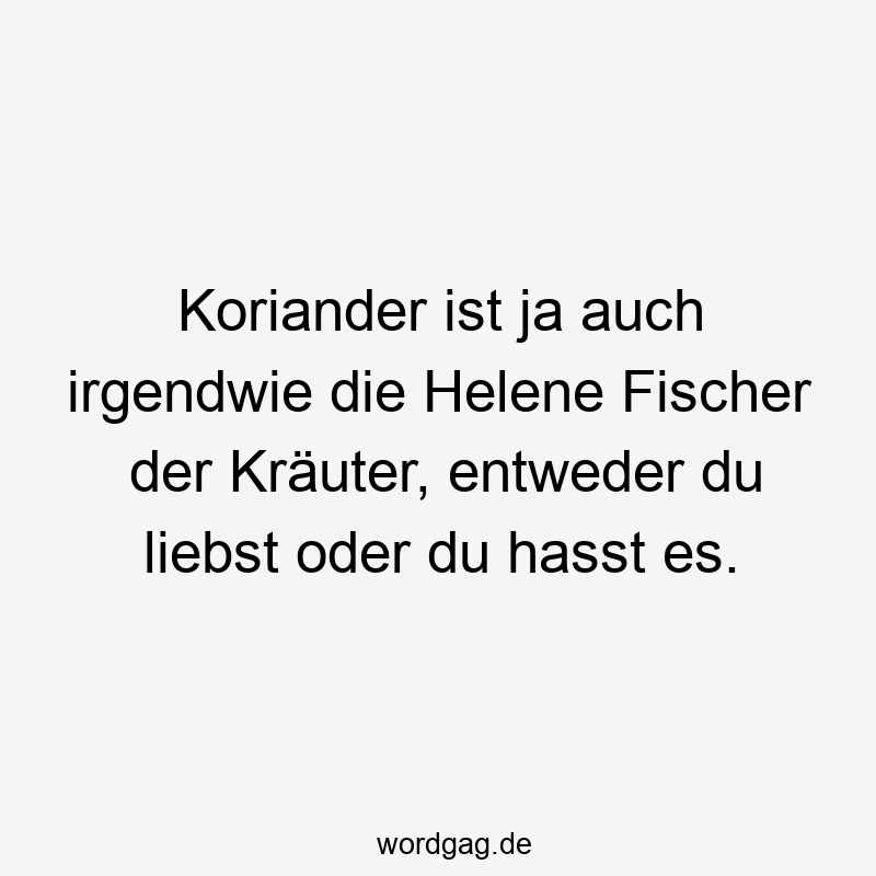 Koriander ist ja auch irgendwie die Helene Fischer der Kräuter, entweder du liebst oder du hasst es.