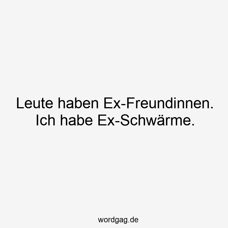 Leute haben Ex-Freundinnen. Ich habe Ex-Schwärme.