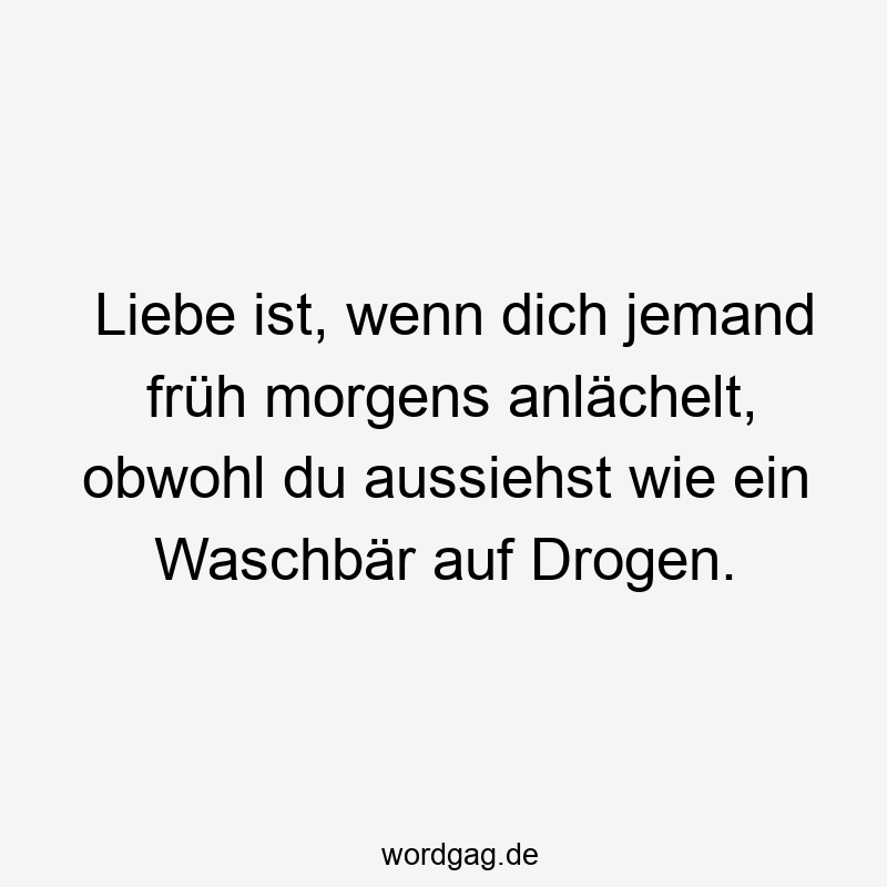 Liebe ist, wenn dich jemand früh morgens anlächelt, obwohl du aussiehst wie ein Waschbär auf Drogen.