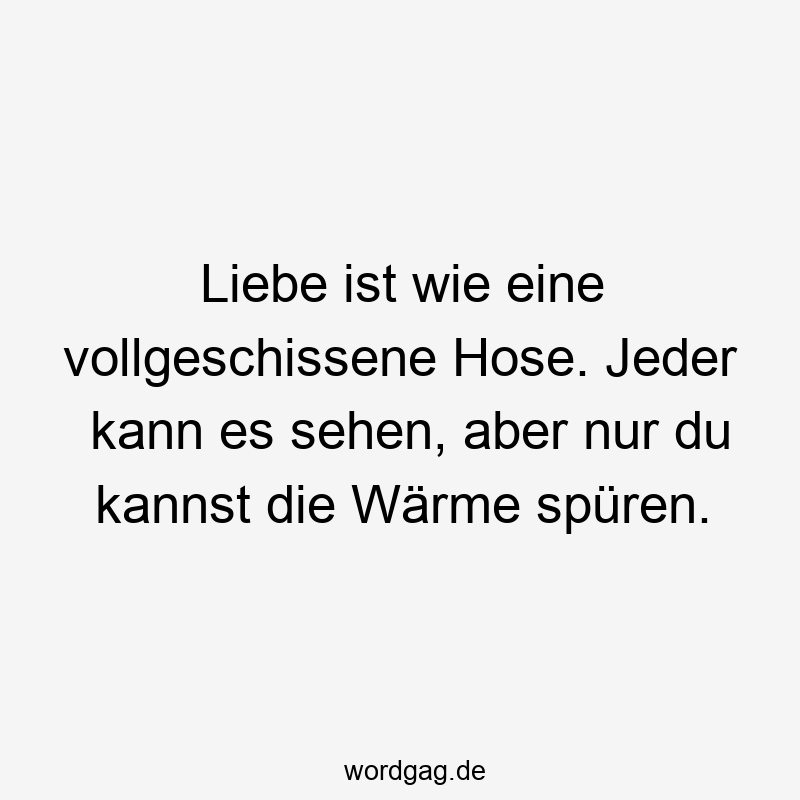 Liebe ist wie eine vollgeschissene Hose. Jeder kann es sehen, aber nur du kannst die Wärme spüren.