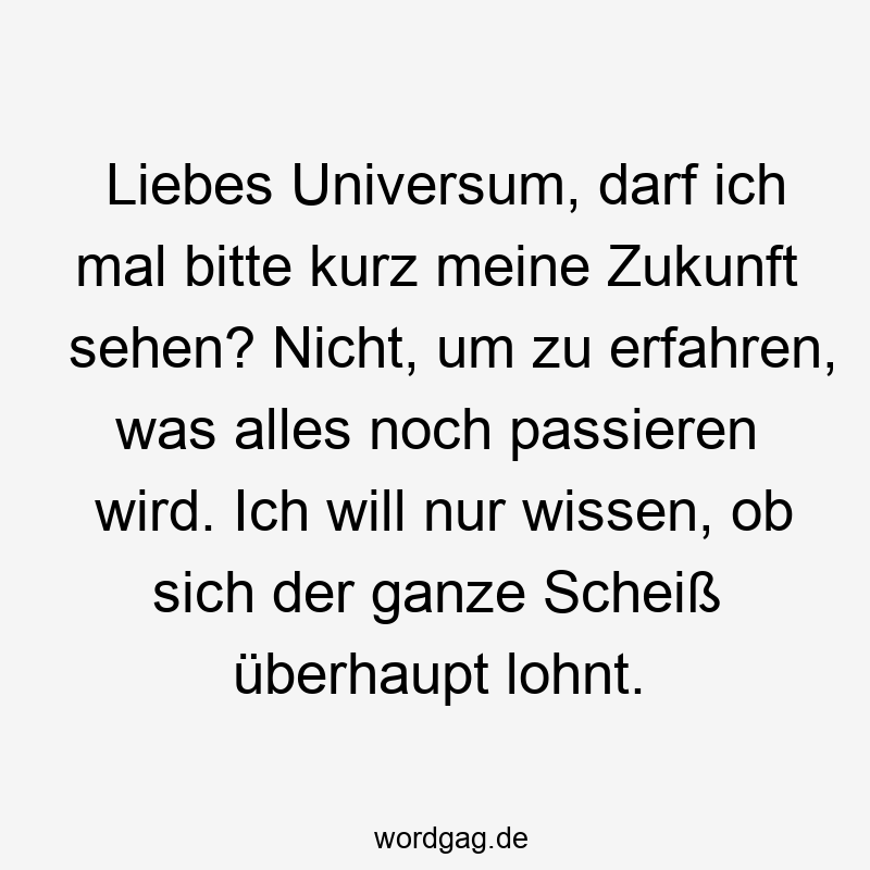 Liebes Universum, darf ich mal bitte kurz meine Zukunft sehen? Nicht, um zu erfahren, was alles noch passieren wird. Ich will nur wissen, ob sich der ganze Scheiß überhaupt lohnt.