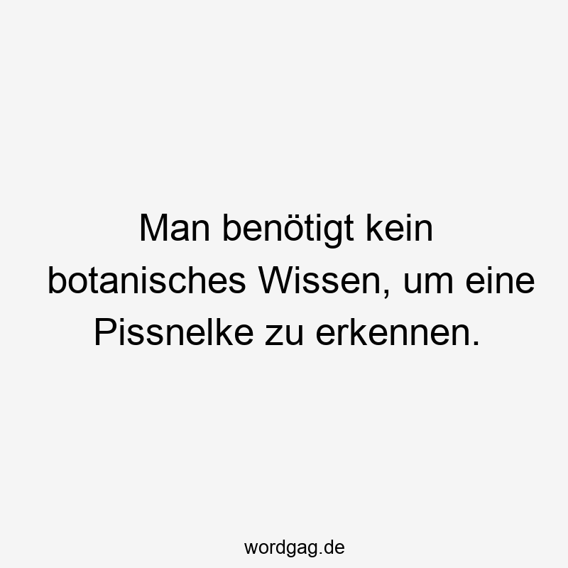 Man benötigt kein botanisches Wissen, um eine Pissnelke zu erkennen.