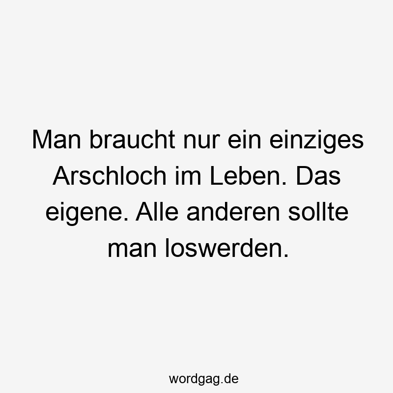 219 Lustige anderen Sprüche - Man braucht nur ein einziges Arschloch im Leben. Das eigene. Alle anderen sollte man loswerden.