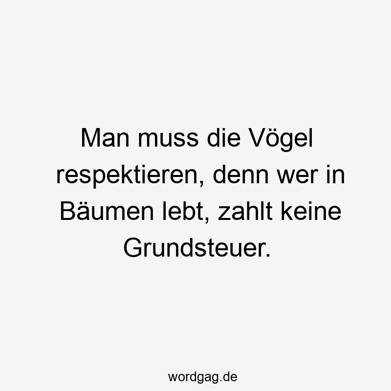 Man muss die Vögel respektieren, denn wer in Bäumen lebt, zahlt keine Grundsteuer.